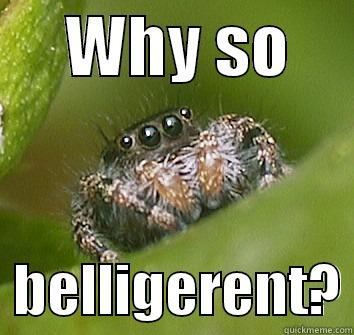      WHY SO        BELLIGERENT? Misunderstood Spider