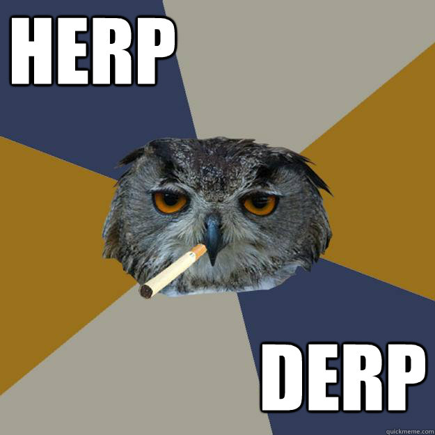 HERP DERP  Art Student Owl