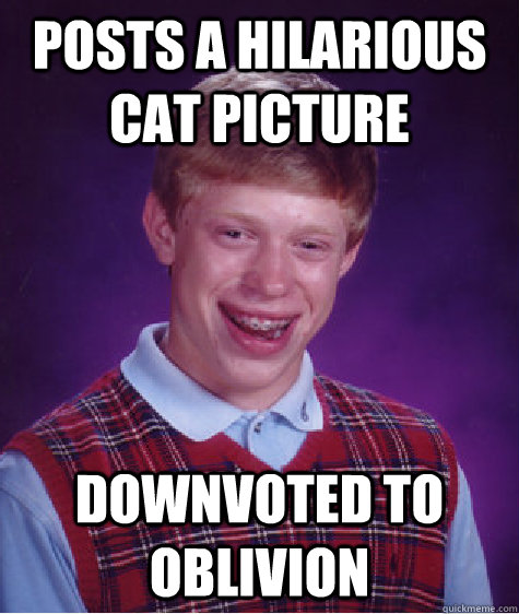 Posts a Hilarious Cat Picture downvoted to oblivion   Bad Luck Brian