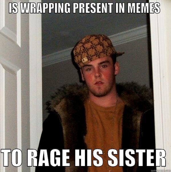 Present Troll - IS WRAPPING PRESENT IN MEMES  TO RAGE HIS SISTER Scumbag Steve