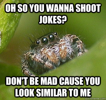 oh so you wanna shoot jokes? Don't be mad cause you look similar to me - oh so you wanna shoot jokes? Don't be mad cause you look similar to me  Misunderstood Spider