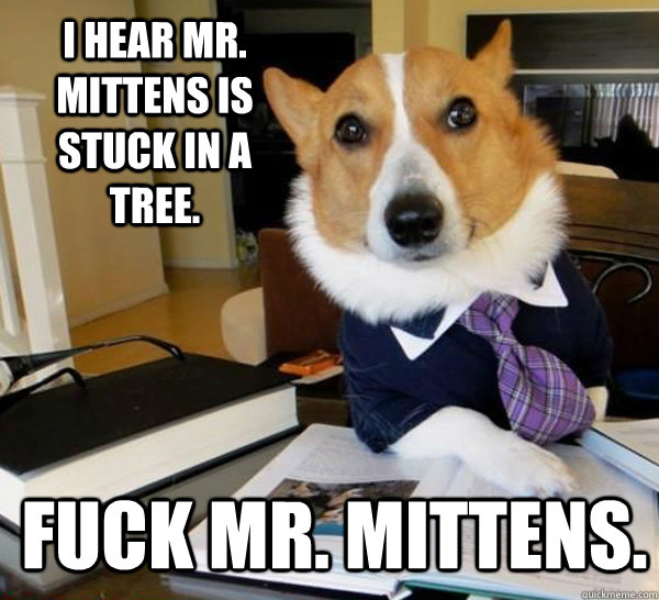 I hear Mr. Mittens is stuck in a tree. Fuck Mr. Mittens.  Lawyer Dog