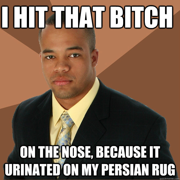 I hit that bitch on the nose, because it urinated on my persian rug  Successful Black Man