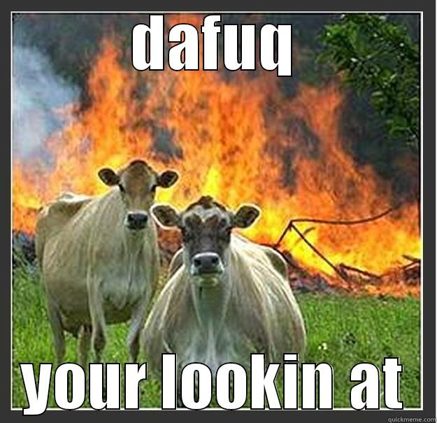 DAFUQ YOUR LOOKIN AT Evil cows