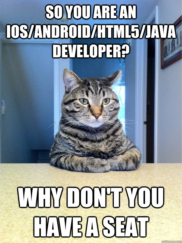 So you are an iOS/Android/HTML5/Java Developer? Why don't you have a seat  Chris Hansen Cat