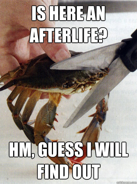 is here an afterlife? hm, guess i will find out - is here an afterlife? hm, guess i will find out  Optimistic Crab