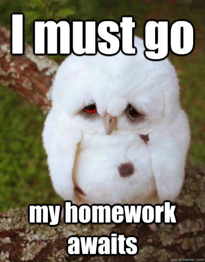 I must go                                                                                             my homework awaits  Depressed Baby Owl