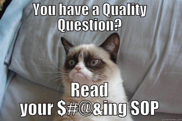 You have a Quality question? - YOU HAVE A QUALITY QUESTION? READ YOUR $#@&ING SOP Grumpy Cat