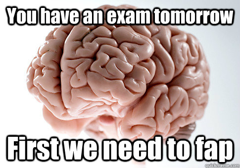 You have an exam tomorrow First we need to fap  Scumbag Brain