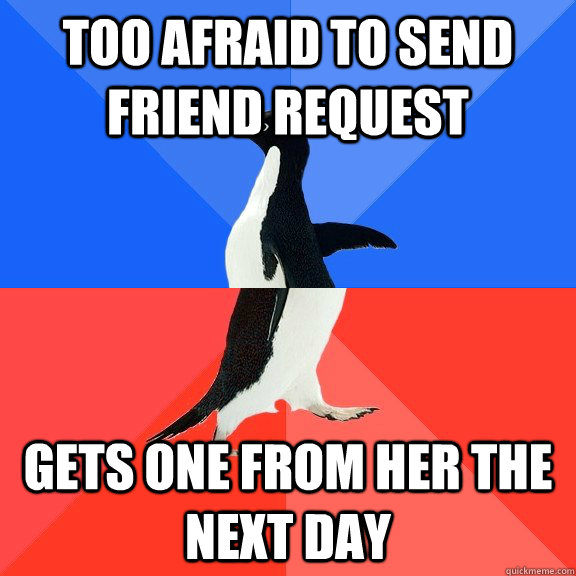 Too afraid to send friend request gets one from her the next day  Socially Awkward Awesome Penguin