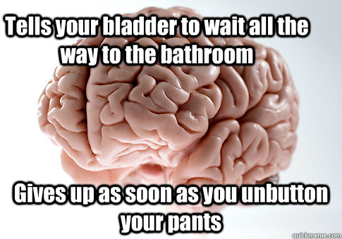 Tells your bladder to wait all the way to the bathroom Gives up as soon as you unbutton your pants - Tells your bladder to wait all the way to the bathroom Gives up as soon as you unbutton your pants  Scumbag Brain