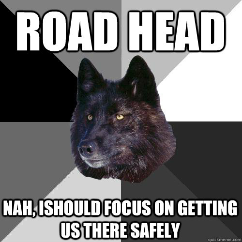 ROAD HEAD nah, Ishould focus on getting us there safely  Sanity Wolf