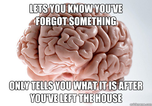 lets you know you've 
forgot something only tells you what it is after you've left the house  Scumbag Brain