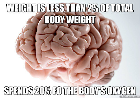 Weight is less than 2% of total body weight Spends 20% fo the body's oxygen  Scumbag Brain