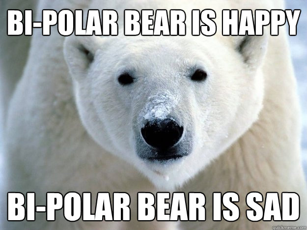 Bi-polar Bear is happy bi-polar Bear is sad - Bi-polar Bear is happy bi-polar Bear is sad  Misc