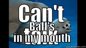 CAN'T TALK BALL'S IN MY MOUTH Misc