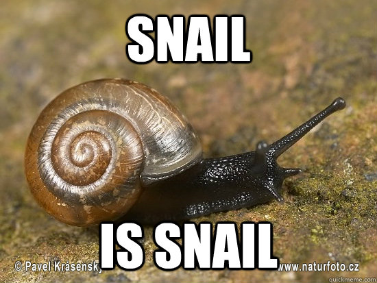 Snail is Snail  Thread Snail