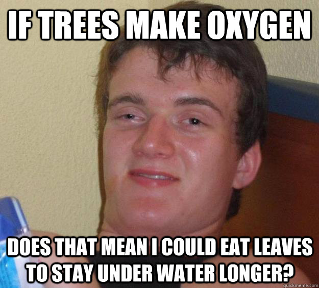 if trees make oxygen does that mean i could eat leaves to stay under water longer?  10 Guy