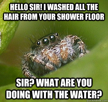 Hello sir! I washed all the hair from your shower floor sir? What are you doing with the water?  Misunderstood Spider