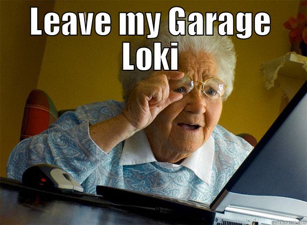 loki is still here? - LEAVE MY GARAGE LOKI  Grandma finds the Internet