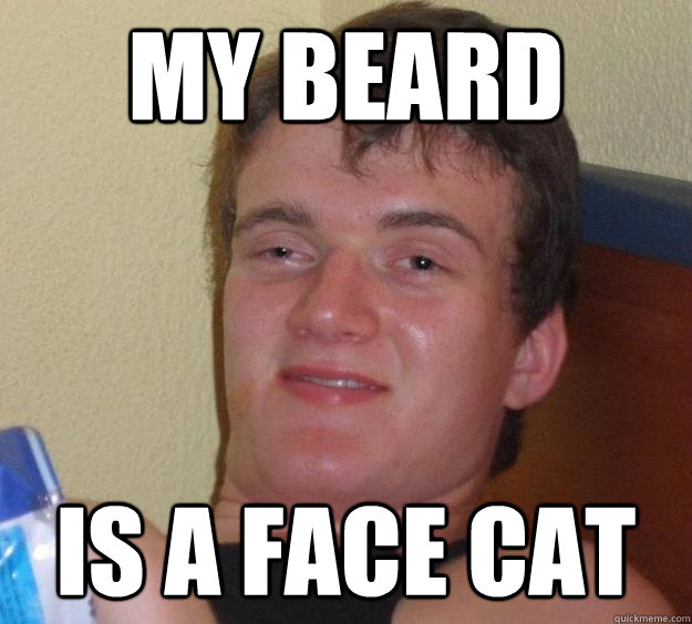 my beard is a face cat  10 Guy