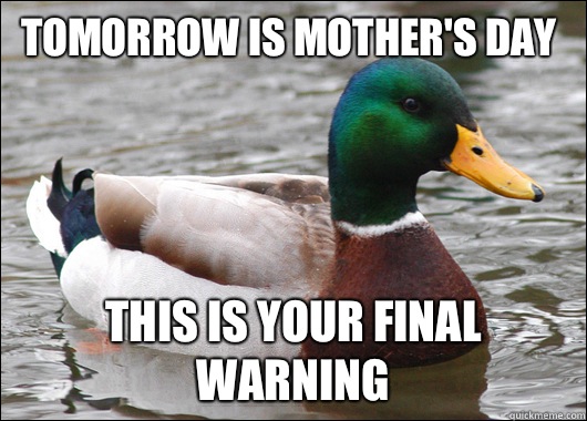 Tomorrow is Mother's day This is your final warning  Actual Advice Mallard