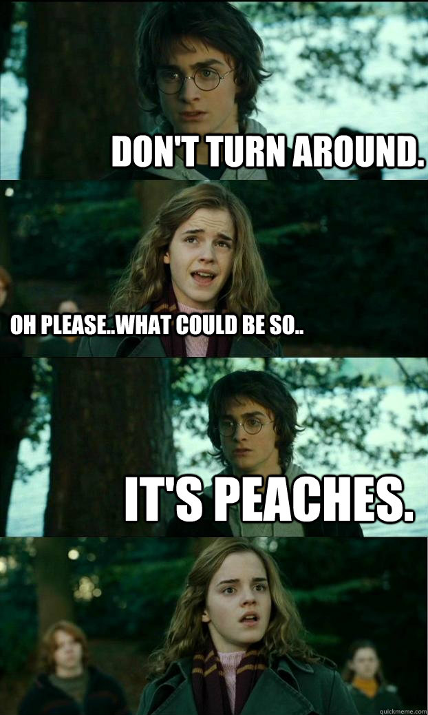 don't turn around. oh please..what could be so.. it's peaches.  Horny Harry