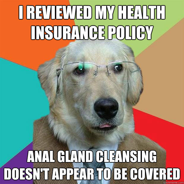 I reviewed my health insurance policy anal gland cleansing doesn't appear to be covered - I reviewed my health insurance policy anal gland cleansing doesn't appear to be covered  Business Dog