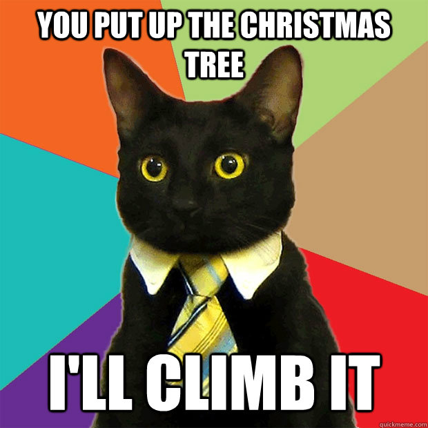 You put up the christmas tree I'll climb it  Business Cat