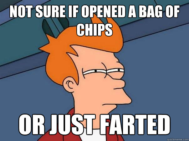 not sure if opened a bag of chips or just farted  Futurama Fry