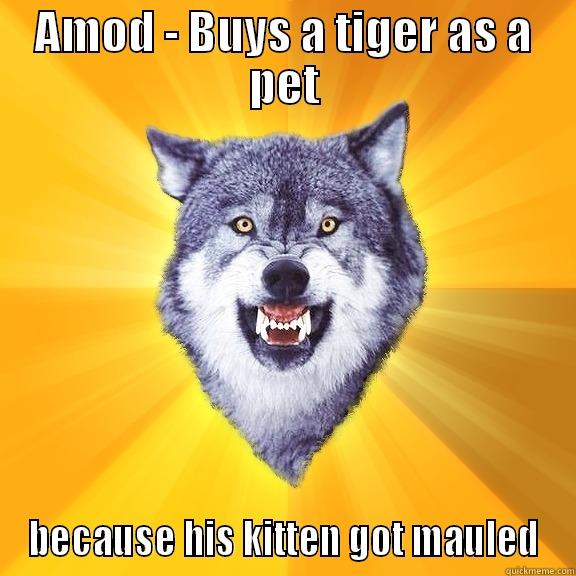 AMOD - BUYS A TIGER AS A PET BECAUSE HIS KITTEN GOT MAULED Courage Wolf