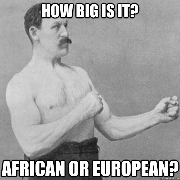 how big is it? african or european?  overly manly man