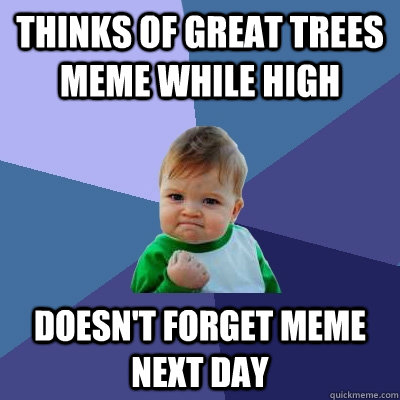 thinks of great trees meme while high doesn't forget meme next day  Success Kid