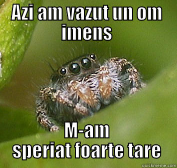 AZI AM VAZUT UN OM IMENS M-AM SPERIAT FOARTE TARE Misunderstood Spider