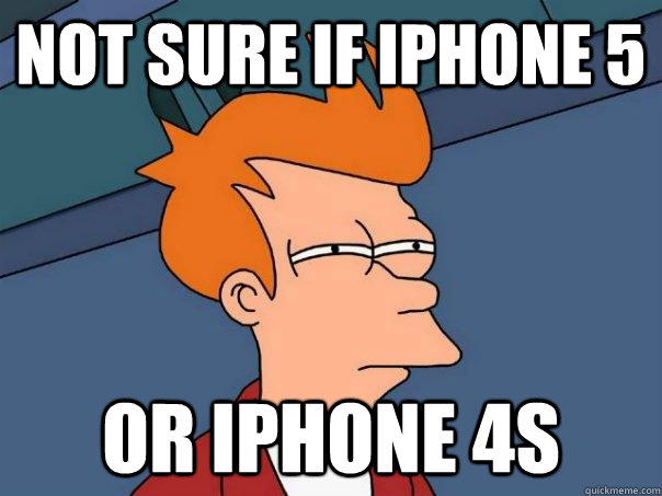 Not sure if iphone 5  or iphone 4s  Futurama Fry