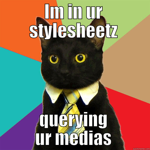 RWD Hipster Cat - IM IN UR STYLESHEETZ QUERYING UR MEDIAS Business Cat