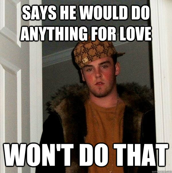 Says he would do anything for love Won't do that  Scumbag Steve