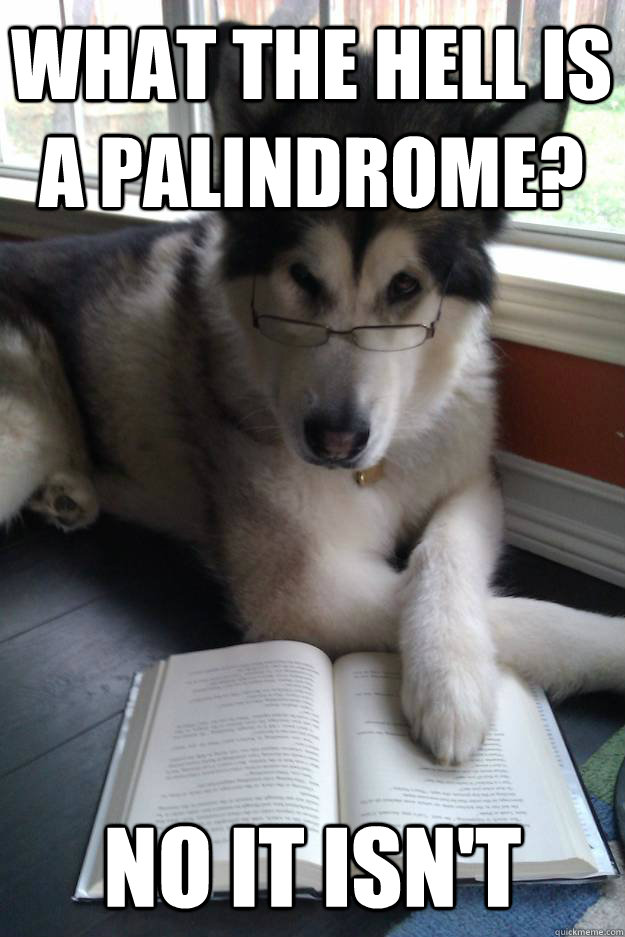 What the hell is a palindrome?    No it isn't  - What the hell is a palindrome?    No it isn't   Condescending Literary Pun Dog