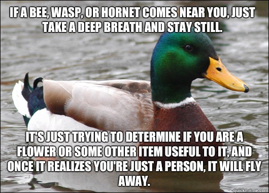  If a bee, wasp, or hornet comes near you, just take a deep breath and stay still. 
 It's just trying to determine if you are a flower or some other item useful to it, and once it realizes you're just a person, it will fly away.  Actual Advice Mallard