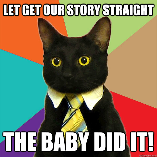 Let get our story straight The baby did it!  Business Cat