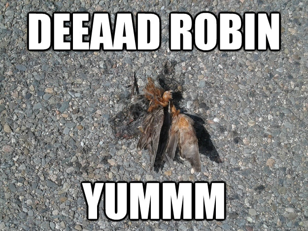 Deeaad Robin Yummm - Deeaad Robin Yummm  Dead Robin