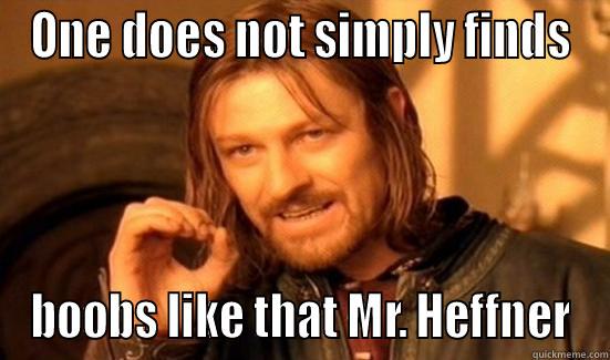 ONE DOES NOT SIMPLY FINDS BOOBS LIKE THAT MR. HEFFNER Boromir