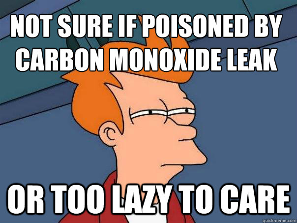 Not sure if poisoned by carbon monoxide leak or too lazy to care  Futurama Fry