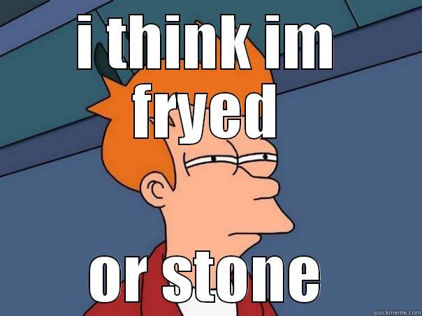 I THINK IM FRYED OR STONE Futurama Fry