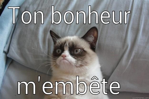 TON BONHEUR  M'EMBÊTE  Grumpy Cat