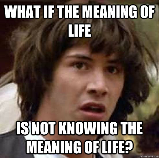 What if the meaning of life  Is not knowing the meaning of life?  conspiracy keanu