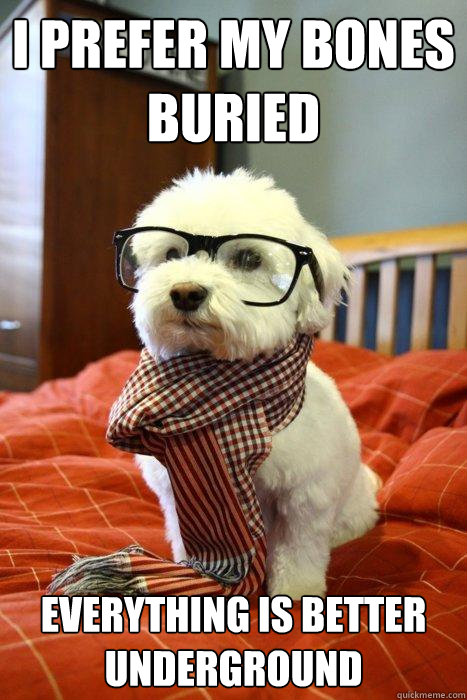 I prefer my bones buried Everything is better underground  Hipster Dog