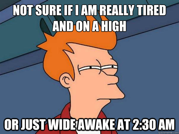 Not sure if I am really tired and on a high or just wide awake at 2:30 am  Futurama Fry