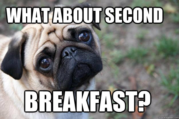 what about second   breakfast? - what about second   breakfast?  First World Dog problems