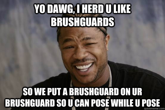 yo dawg, i herd u like brushguards so we put a brushguard on ur brushguard so u can pose while u pose  YO DAWG